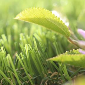 Artificial grass premium turf